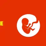 BitLife Simulator BitLife Simulator